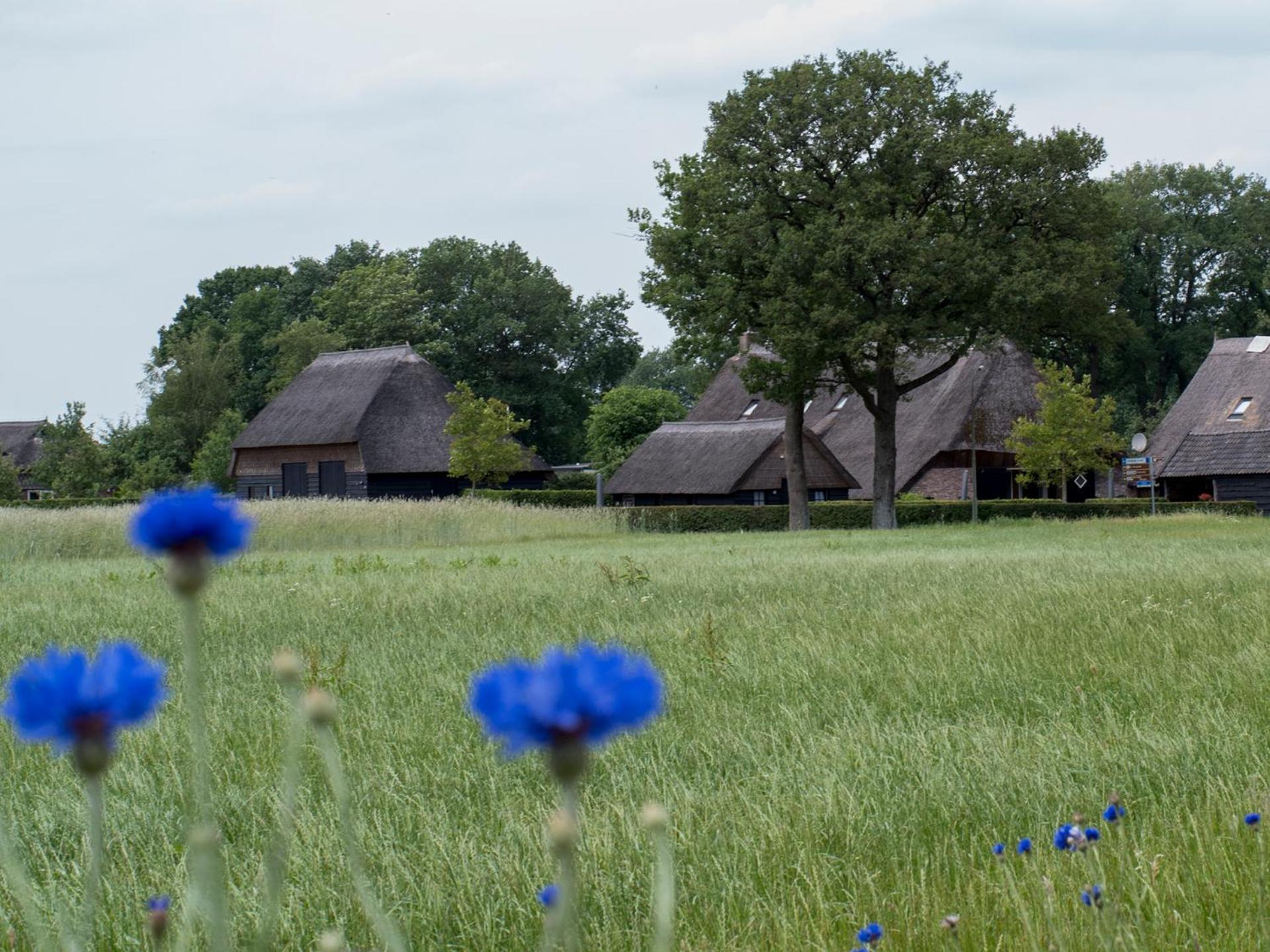 Gastenverblijf Lheederhof Dwingeloo Exterior photo